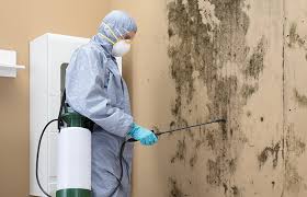 Mold Odor Removal Services in Islamorada Village Of Islands, FL